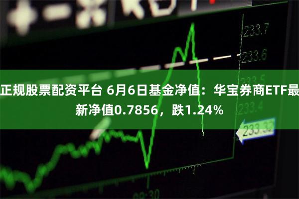 正规股票配资平台 6月6日基金净值：华宝券商ETF最新净值0.7856，跌1.24%