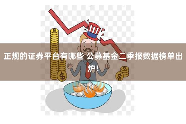 正规的证券平台有哪些 公募基金二季报数据榜单出炉！