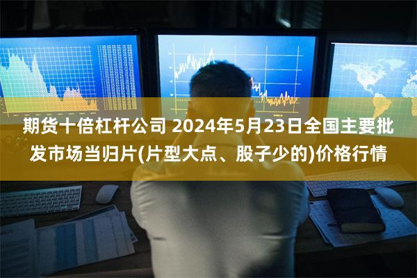 期货十倍杠杆公司 2024年5月23日全国主要批发市场当归片(片型大点、股子少的)价格行情