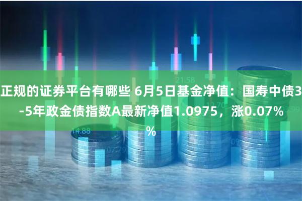 正规的证券平台有哪些 6月5日基金净值：国寿中债3-5年政金债指数A最新净值1.0975，涨0.07%