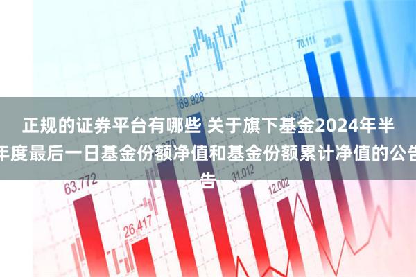 正规的证券平台有哪些 关于旗下基金2024年半年度最后一日基金份额净值和基金份额累计净值的公告