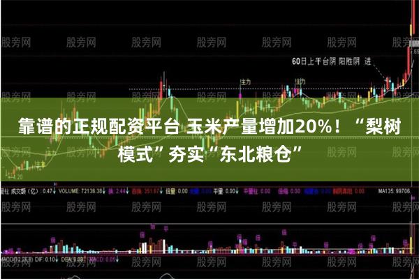 靠谱的正规配资平台 玉米产量增加20%！“梨树模式”夯实“东北粮仓”