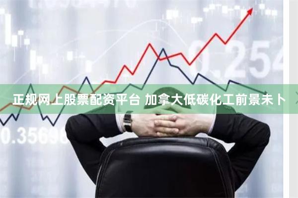 正规网上股票配资平台 加拿大低碳化工前景未卜