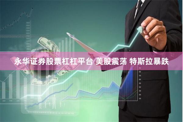 永华证券股票杠杠平台 美股震荡 特斯拉暴跌