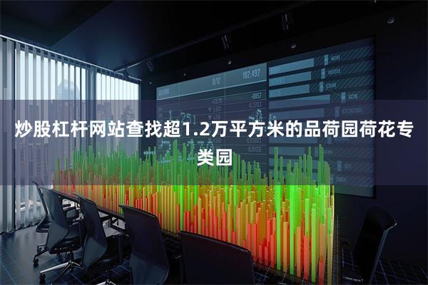 炒股杠杆网站查找超1.2万平方米的品荷园荷花专类园